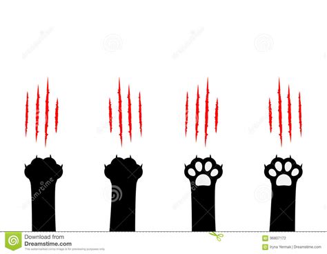 Cat Claw Scratching Set Black Paw Print Leg Foot Bloody Claws Animal
