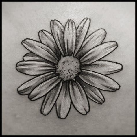 Daisy Flower Tattoo Black And White Tataraos