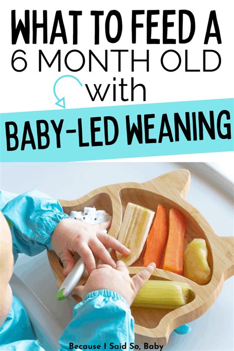 6 Month Old Baby Led Weaning Meal Ideas Feeding Schedule Artofit