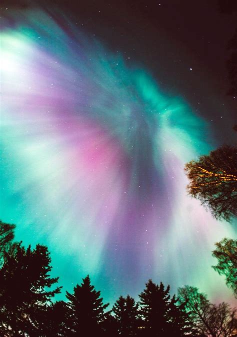 Where To See The Northern Lights Aurora Boreal Fenômenos Naturais