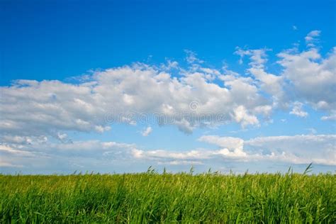 Blue Sky And Green Grass Scene Stock Photo Image Of Blue Meadow 9159034