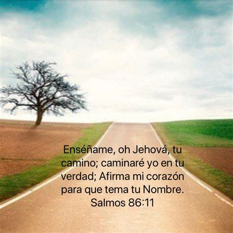 Salmos 8611 Enséñame Oh Jehová Tu Camino Caminaré Yo En Tu Verdad