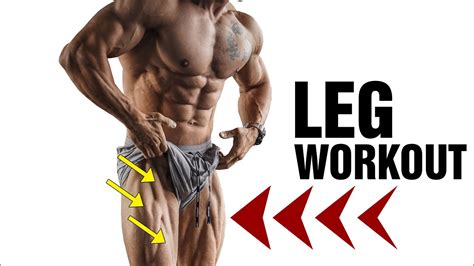 Full Leg Workout Get Shredded For Summer Youtube