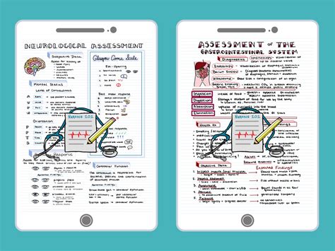 Health Assessment Bundle Nursing School Notes To Help Pass Etsy Canada