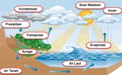 Siklus Air Pengertian Tahapan Dan Faktor Yang Mempengaruhi
