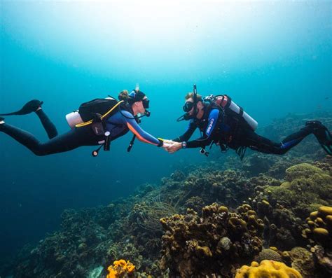 Reasons To Dive With Your Significant Other Diving Significant