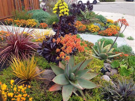 Share674sharescreating A Succulent Garden Is One Way To Create Beauty