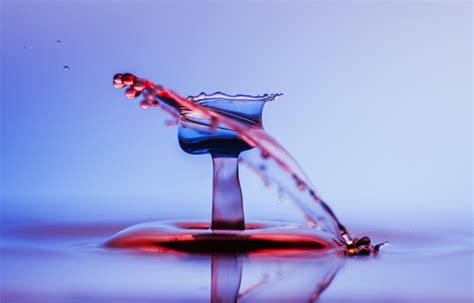 Water Drop Photography From Idea To Results In Five Easy Steps Skylum Blog