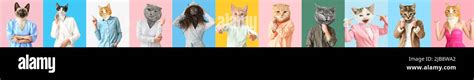 Set Of Cute Cats With Human Bodies On Colorful Background Stock Photo