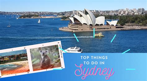 top things to do in sydney ams global inc