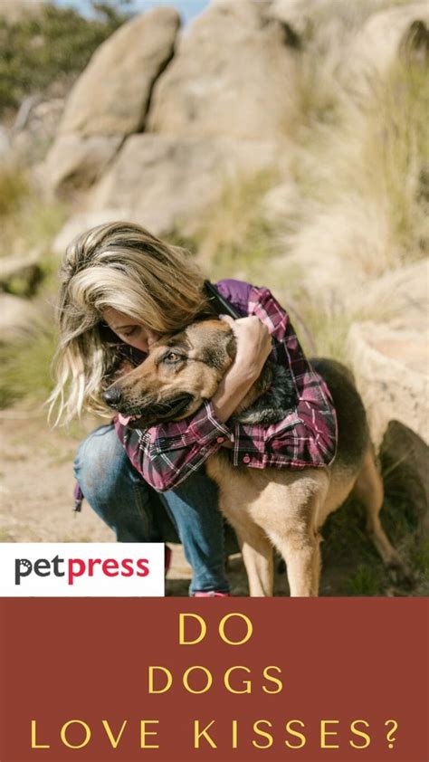 Do Dogs Love Kisses Surprising Facts About Canine Affection
