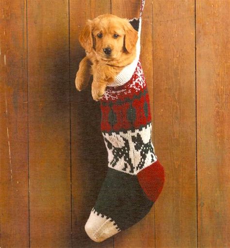 What is a good christmas name? Holiday Hop for Pets giveaway: Win a hand-knit Christmas ...