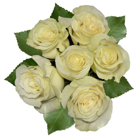 Save On Roses Bunch White Order Online Delivery Giant