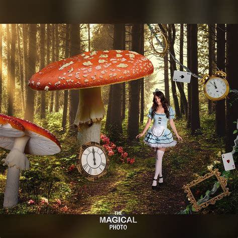 Alice In Wonderland Digital Background Digital Backdrop For Etsy