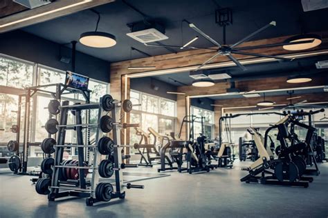 Essential Equipment That Every Gym Should Have Available Find Health Tips