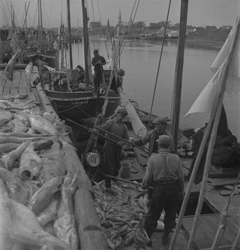 Best Images About Historic Antique Fishing Photos On Pinterest