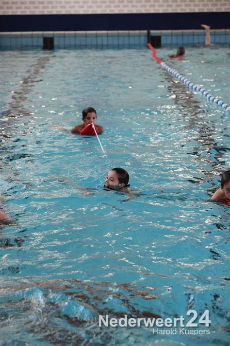 Selecteer hieronder jouw laco accommodatie om de zwemlesvorderingen van jouw kind te bekijken. Project Meervoudige Intelligentie basisschool de Klimop ...