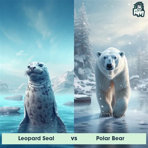 Leopard Seal Vs Polar Bear See Who Wins Animal Matchup