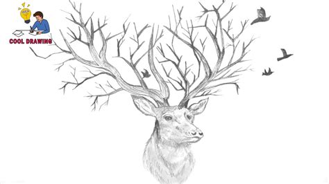 Top 84 Deer Sketch Latest Ineteachers