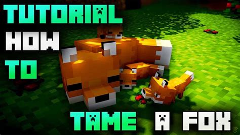 How to tame a fox in minecraft, in this video i will show you how to tame a fox or foxes in minecraft 1.15.1. How To Tame A Fox In Minecraft - YouTube