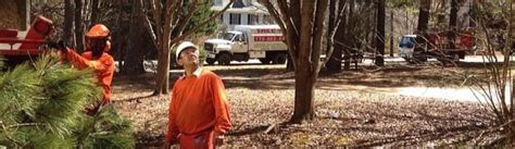 North american tree service has been serving loganville and surrounding areas for over 25 years. How Do I Know I Need Tree Removal for My Home in Woodstock ...