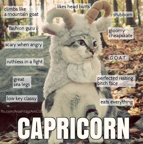 Capricorn Girl Capricorn Traits Capricorn Quotes Zodiac Signs