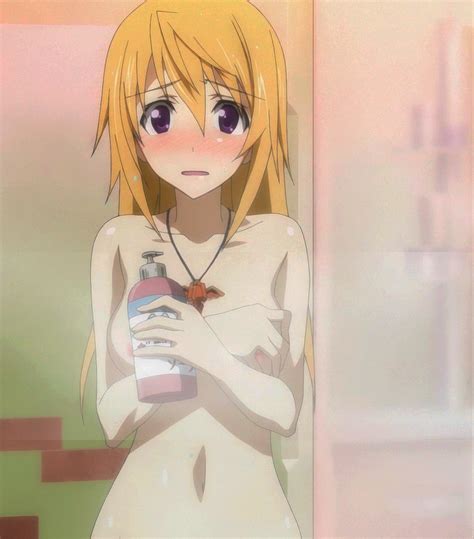 Charlotte Dunois Infinite Stratos Danbooru