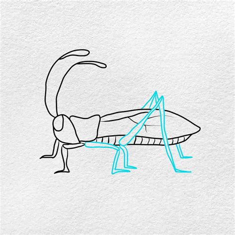 How To Draw A Cricket Helloartsy