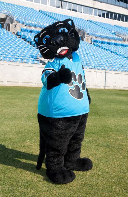 Pin By Brenda Campbell On Nfl Team Mascots Carolina Panthers Football