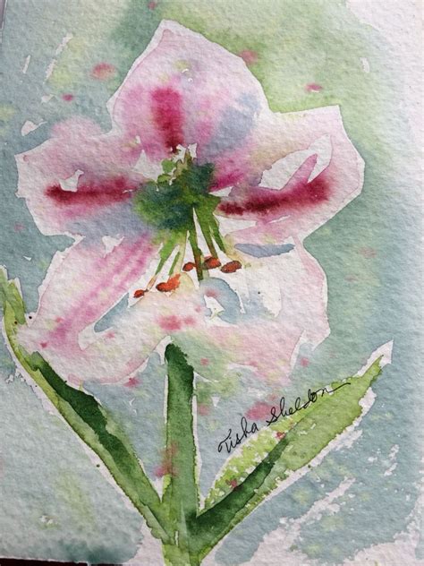 Loose Watercolor By Tisha Sheldon Apple Blossom Amaryllis