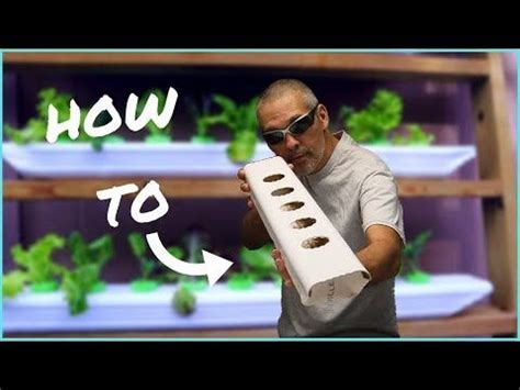 Check spelling or type a new query. How to make a gutter garden / How to make a downspout grow box / Easy DIY Hydroponics / urban ...