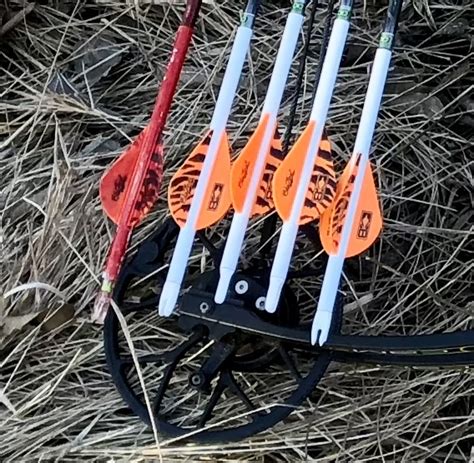 Bowhunting 101 How To Choose The Best Hunting Arrow Setup Bowhunting