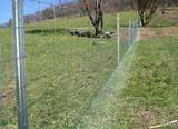 Electric Wire Fence For Dogs