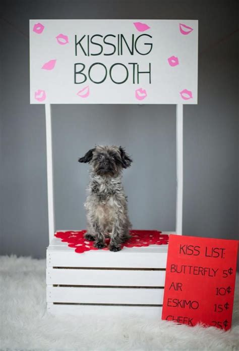 Puppy Dog In A Kissing Booth Dog Photoshoot Dog Valentines Kissing