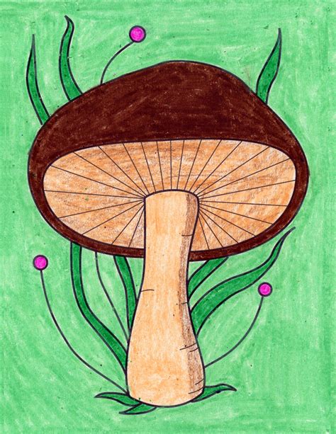 Mushroom Art Drawing Ideas Alvaro Parm