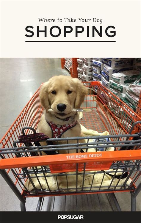 10,291 likes · 1,803 talking about this. 21 Stores That Will Welcome Your Dog With Open Arms | Dog ...