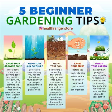 Gardening Tips For Beginners Gardening Tips Gardening For Beginners