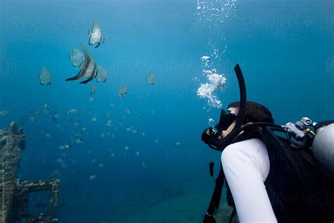 Portrait Of A Scuba Diver Looking At The Batfish From A Close Distance