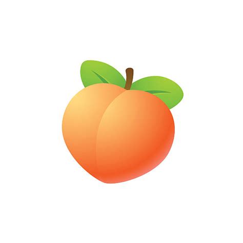 Clip Art Peach 20 Free Cliparts Download Images On Clipground 2023