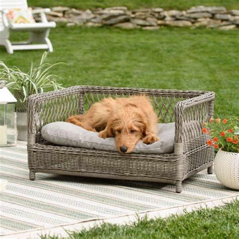 Boomer And George Ollie Wicker Pet Bed Hayneedle Wicker Dog Bed
