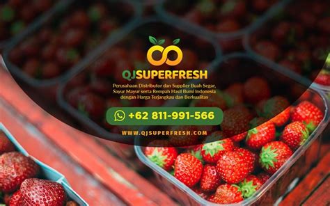 supplier buah lokal  jakarta sayuran melon madu buah