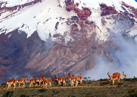 ecuador el gran destino de aventura en sudamérica lonely planet el paÍs