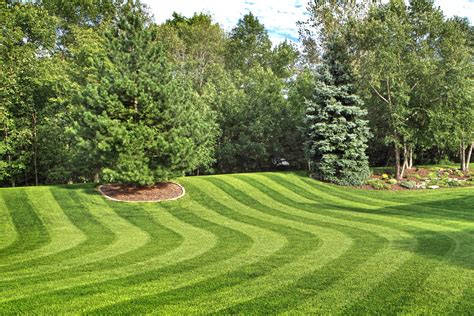 Cropped Lawnstripes2 1 Custom Lawn Care