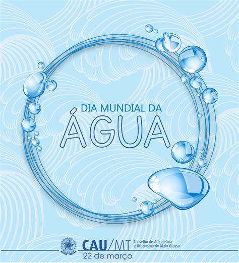 Já tinham umas 18 horas de comemoração ininterruptas ali. Dia Mundial da Água | CAU/MT