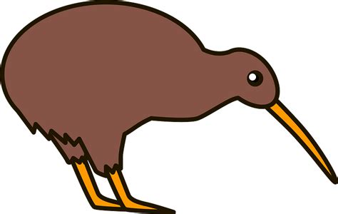 Kiwi Bird Clipart Free Download Transparent Png Creazilla