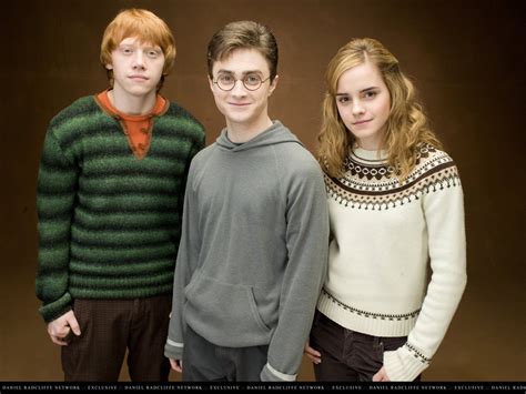 Ron Weasley Harry Potter And Hermione Granger Harry Potter Books
