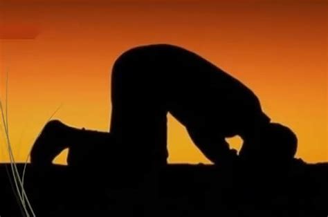 Artinya doa yang dipanjatkan setelah tahajud memiliki kekuatan yang luar biasa. Doa Dzikir Sesudah Sholat Tahajud Yg Benar Dan Bacaannya