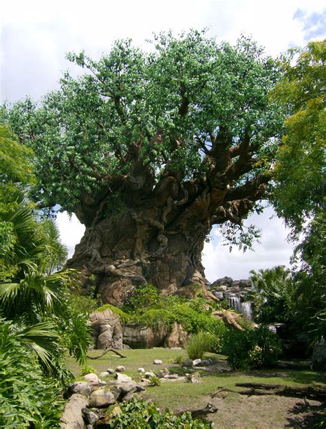 The tree of life by c. Tree of Life - Disney Wiki