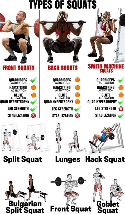 different squat types