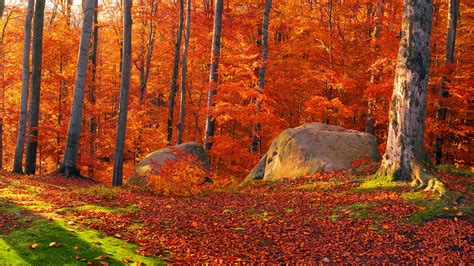 3840 X 2160 Autumn Wallpapers Top Free 3840 X 2160 Autumn Backgrounds